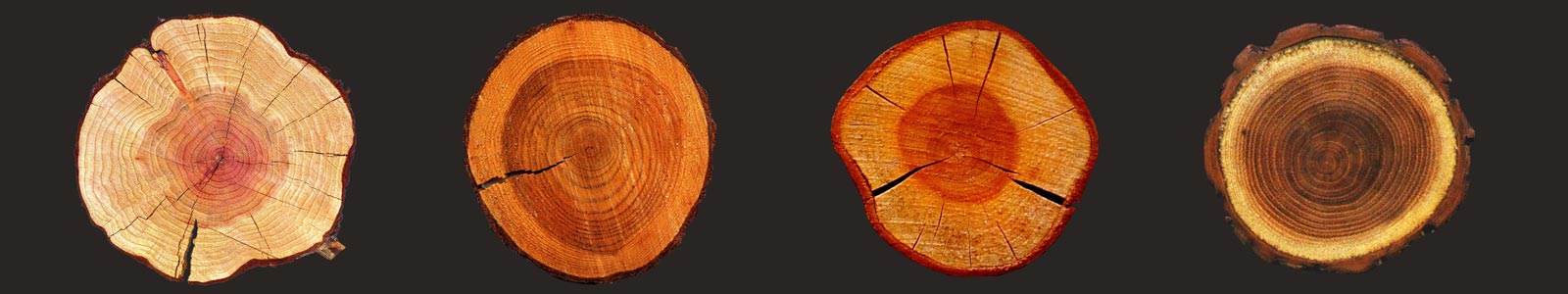 Falegnameria Modonesi